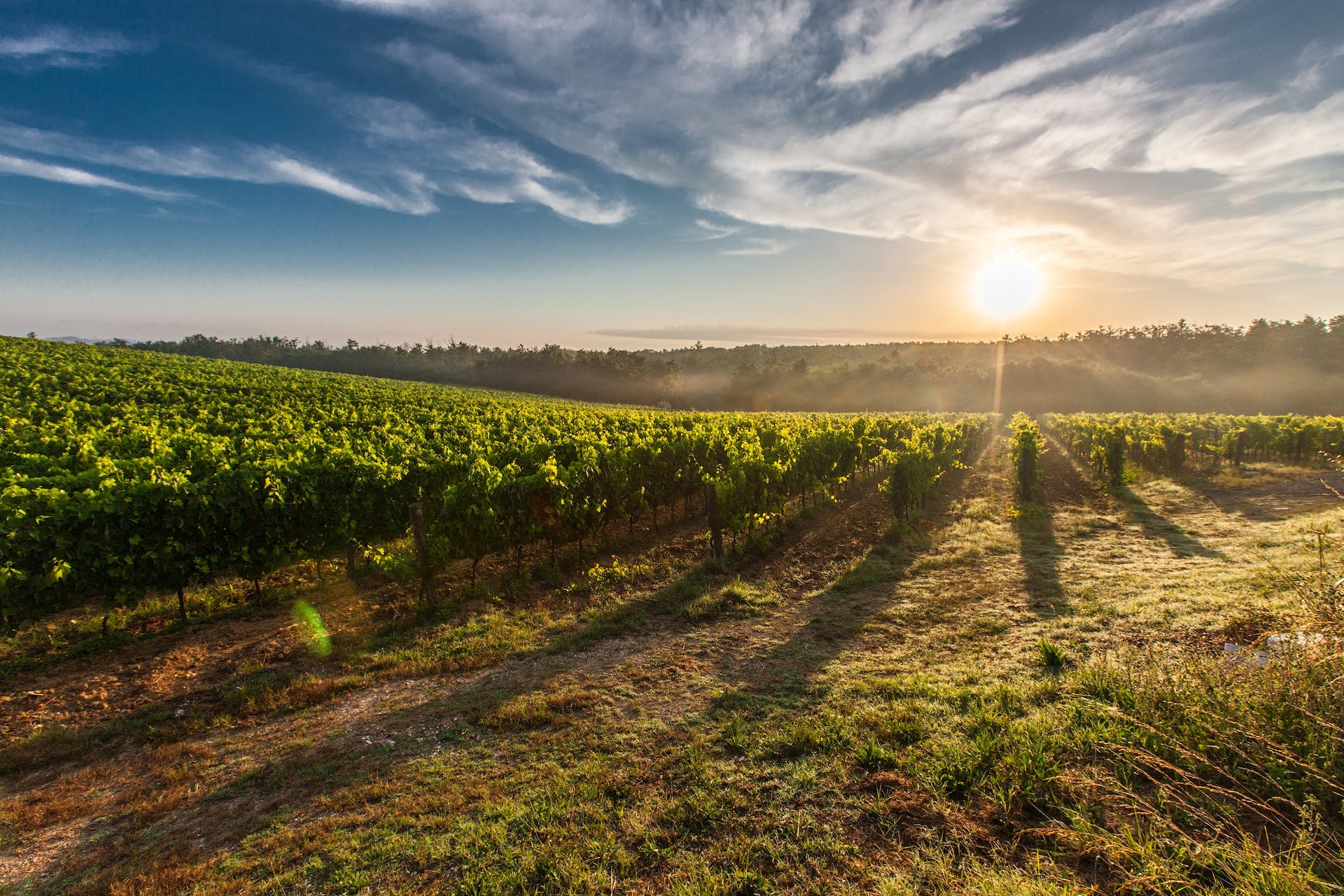 Vakantie Toscane