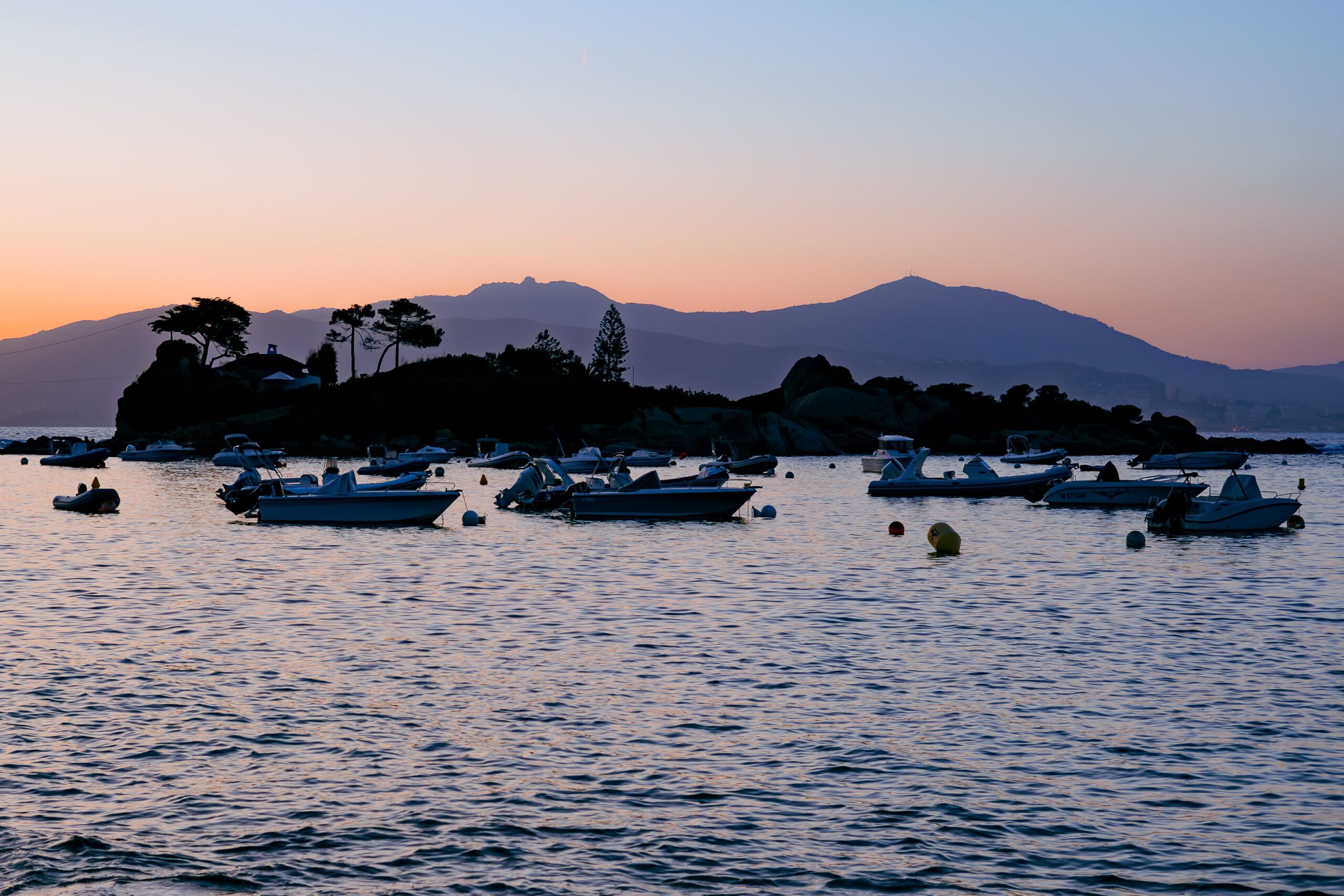 Corsica Ferries